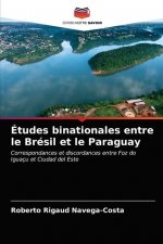Etudes binationales entre le Bresil et le Paraguay