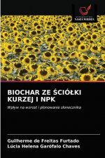 Biochar Ze Ściolki Kurzej I Npk