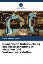 Numerische Untersuchung des Risswachstums in Metallen und Verbundwerkstoffen