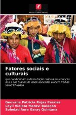 Fatores sociais e culturais