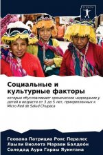 Социальные и культурные