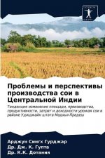 Проблемы и перспективы п