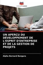 Apercu Du Developpement de l'Esprit d'Entreprise Et de la Gestion de Projets