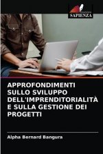 Approfondimenti Sullo Sviluppo Dell'imprenditorialita E Sulla Gestione Dei Progetti
