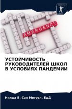 УСТОЙЧИВОСТЬ РУКОВОДИТ&#