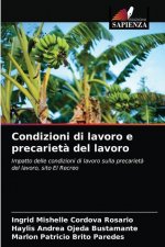 Condizioni di lavoro e precarieta del lavoro