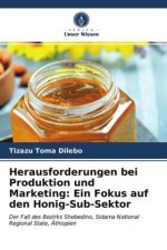 Herausforderungen bei Produktion und Marketing