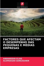 Factores Que Afectam O Desempenho Das Pequenas E Medias Empresas