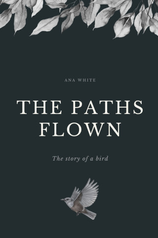 Paths Flown