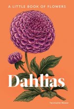 Dahlias