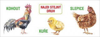 Najdi stejnďż˝ druh
