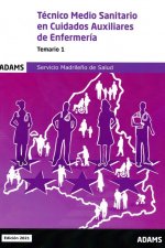 TECNICO MEDIO SANITARIO EN CUIDADOS AUXILIARES DE ENFERMERIA - TE