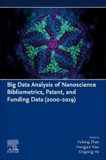 Big Data Analysis of Nanoscience Bibliometrics, Patent, and Funding Data (2000-2019)