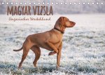 Magyar Vizsla - Ungarischer Vorstehhund (Tischkalender 2022 DIN A5 quer)
