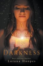 Spark in Darkness