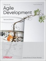 Art of Agile Development