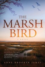 Marsh Bird