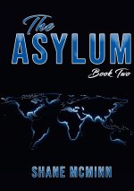 Asylum book 2