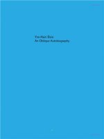 Oblique Autobiography, An