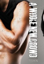 Whole New Crowd (Hardcover)