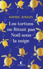 Les tortues ne fêtent pas Noel sous la neige
