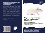 Морфометрия сердца и лег