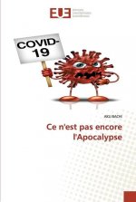 Ce n'est pas encore l'Apocalypse