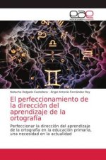 perfeccionamiento de la direccion del aprendizaje de la ortografia