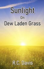 Sunlight On Dew Laden Grass