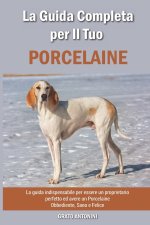 La Guida Completa per Il Tuo Porcelaine