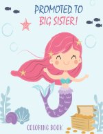 Promoted to Big Sister Coloring Book
