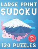 Large Print Sudoku