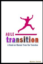 Agile Transition