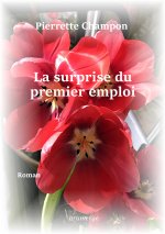 La surprise du premier emploi