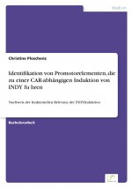 Identifikation von Promotorelementen, die zu einer CAR-abhangigen Induktion von INDY führen
