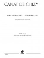 VAGUES SE BRISANT CONTRE LE VENT --- FLUTE SOLO