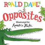 Roald Dahl Opposites