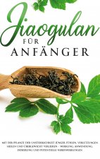 Jiaogulan fur Anfanger