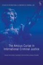 Amicus Curiae in International Criminal Justice