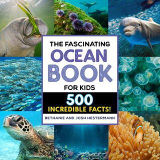 The Fascinating Ocean Book for Kids: 500 Incredible Facts!