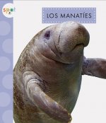 Los Manatíes