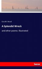 A Splendid Wreck