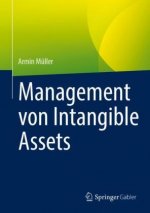 Management von Intangible Assets