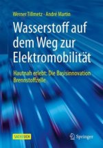 Wasserstoff Auf Dem Weg Zur Elektromobilitat