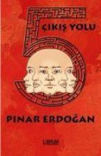 5 Cikis Yolu