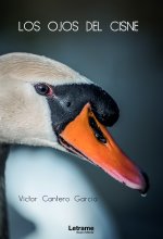Los ojos del cisne