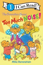 Berenstain Bears: Too Much Noise!