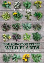 Foraging for Edible Wild Plants