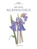 Genus Agapanthus