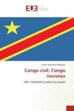Congo civil, Congo nouveau